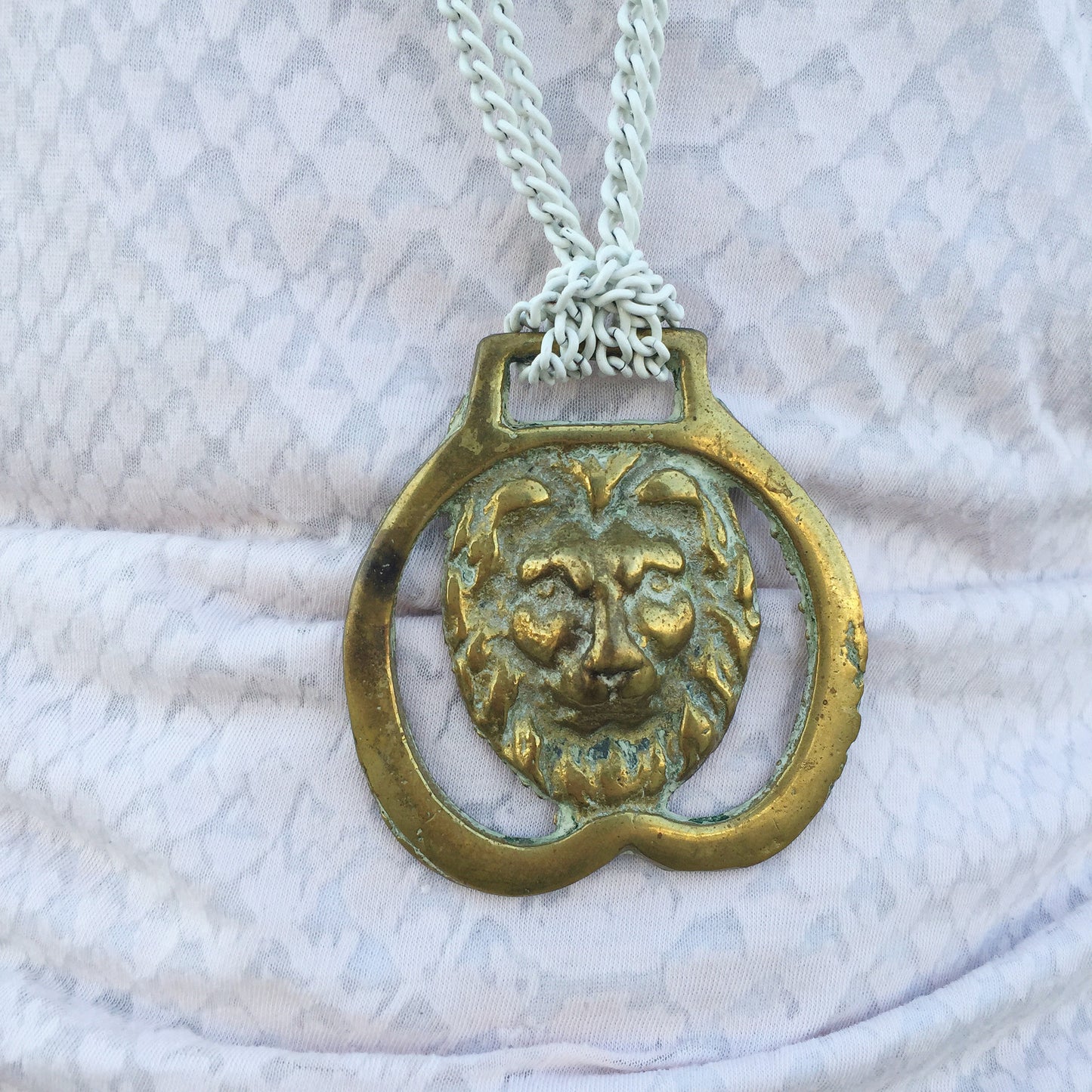 Prized Possession - Lion